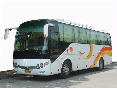 國慶租車首選泰州中航租車，專業(yè)服務(wù)助力便捷出行