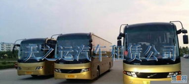 哈爾濱天之運(yùn)租車公司 道里新陽(yáng)路易登網(wǎng)汽車租賃服務(wù)介紹